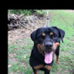 Meet your Posher, Douglas